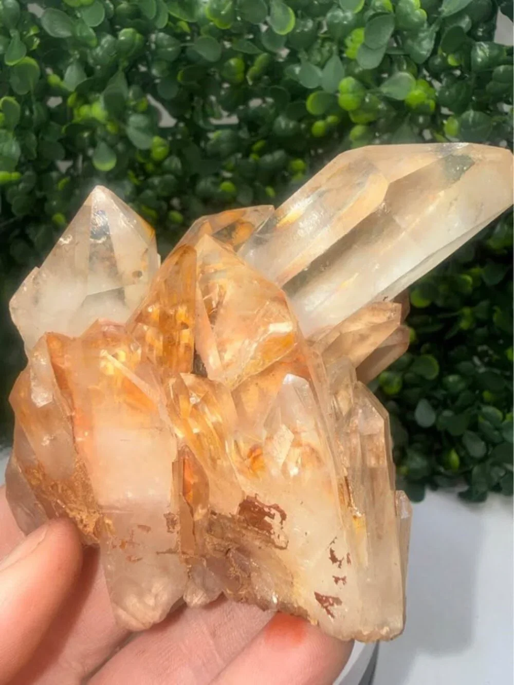 🔥 Golden Healer / Fire Quartz Cluster with Red Hematite Inclusions 🔥